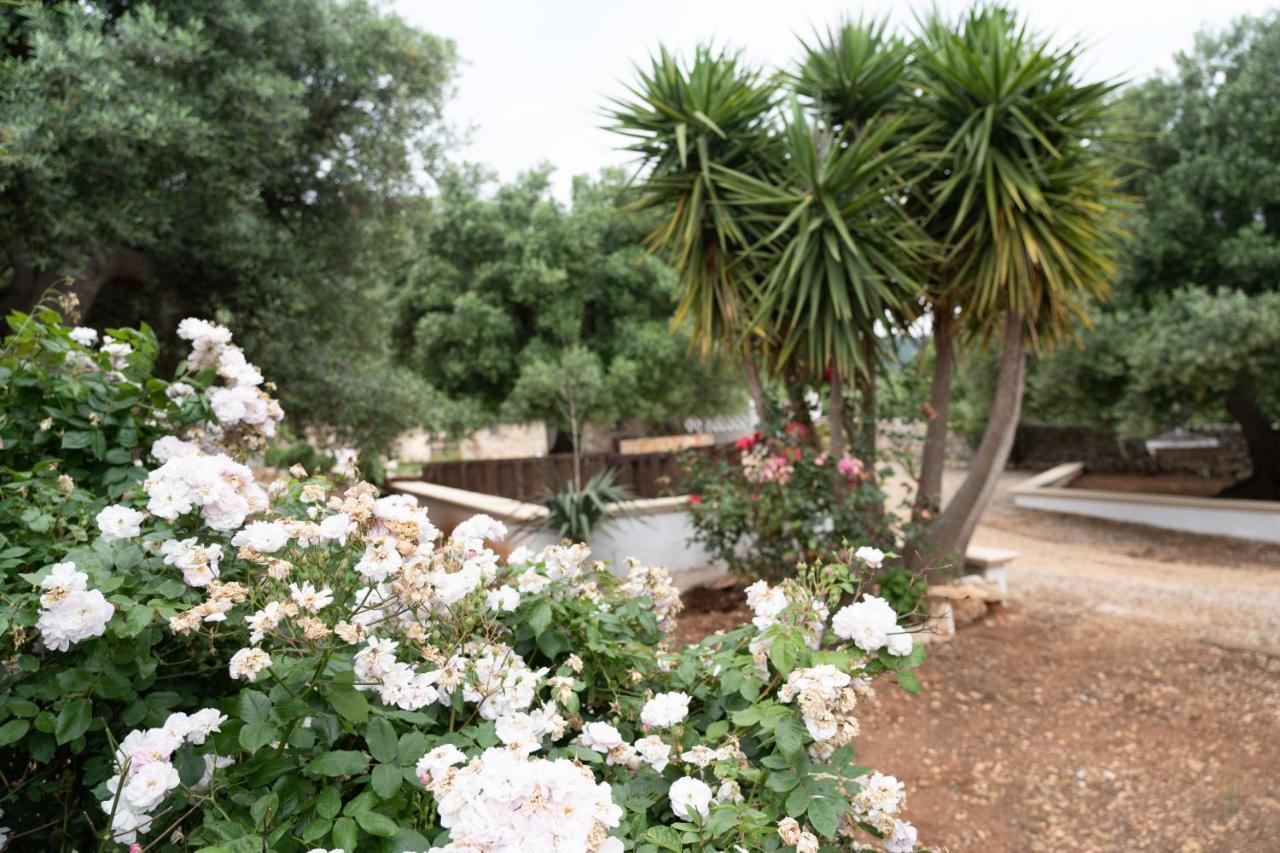 Hill Trull - Typical Apulian House Villa Monopoli Buitenkant foto