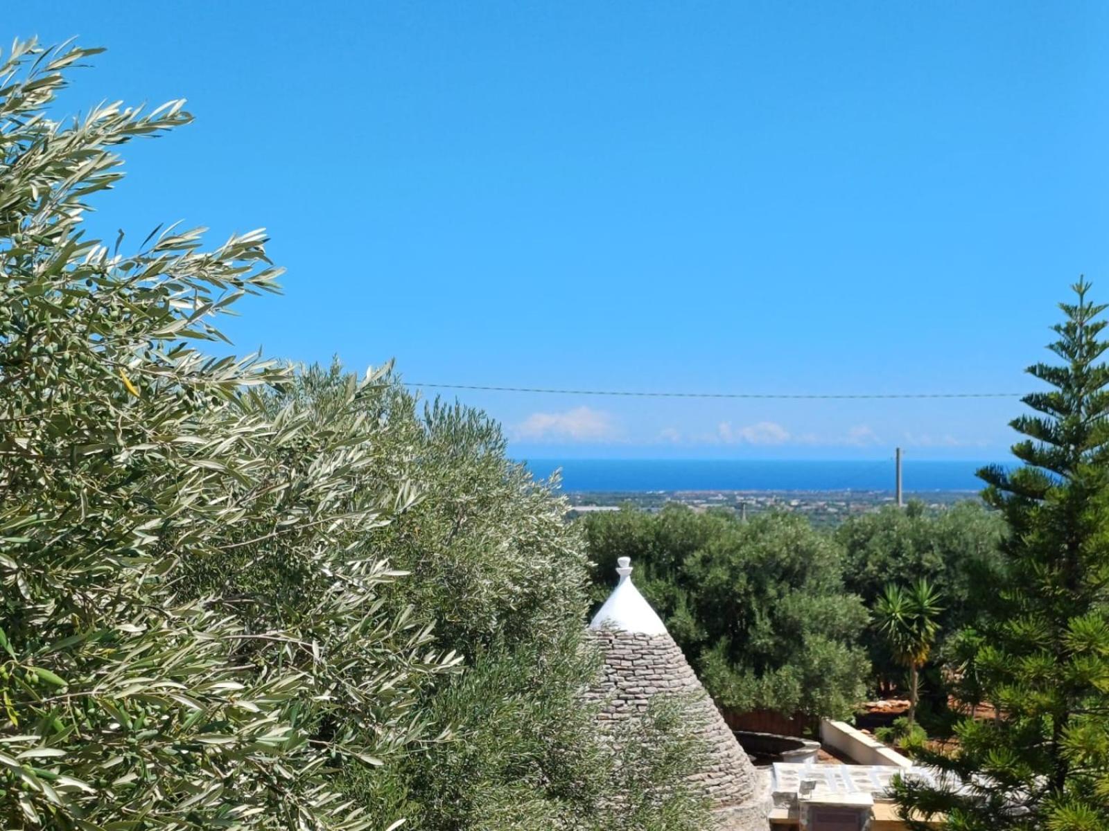 Hill Trull - Typical Apulian House Villa Monopoli Buitenkant foto