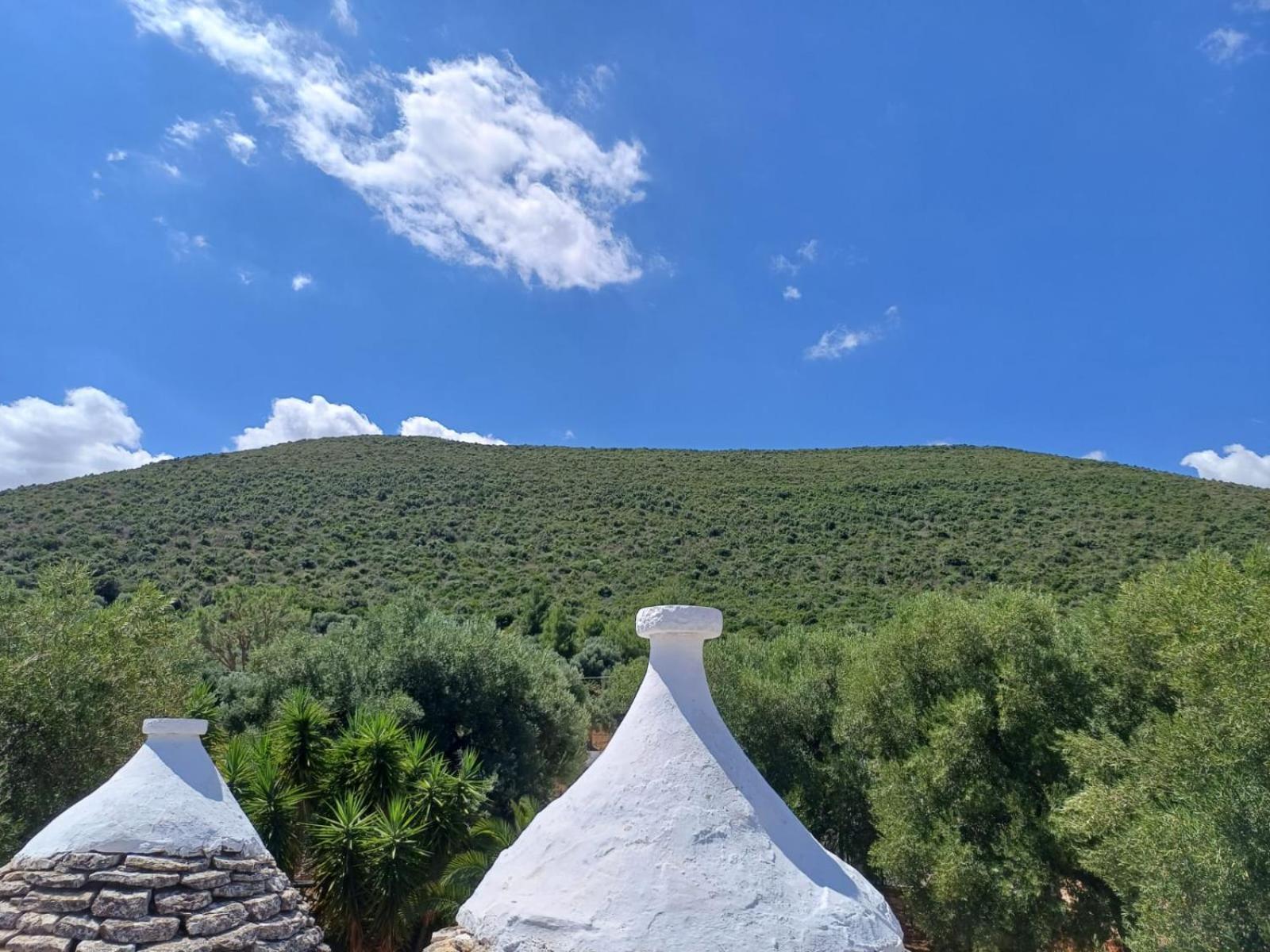 Hill Trull - Typical Apulian House Villa Monopoli Buitenkant foto