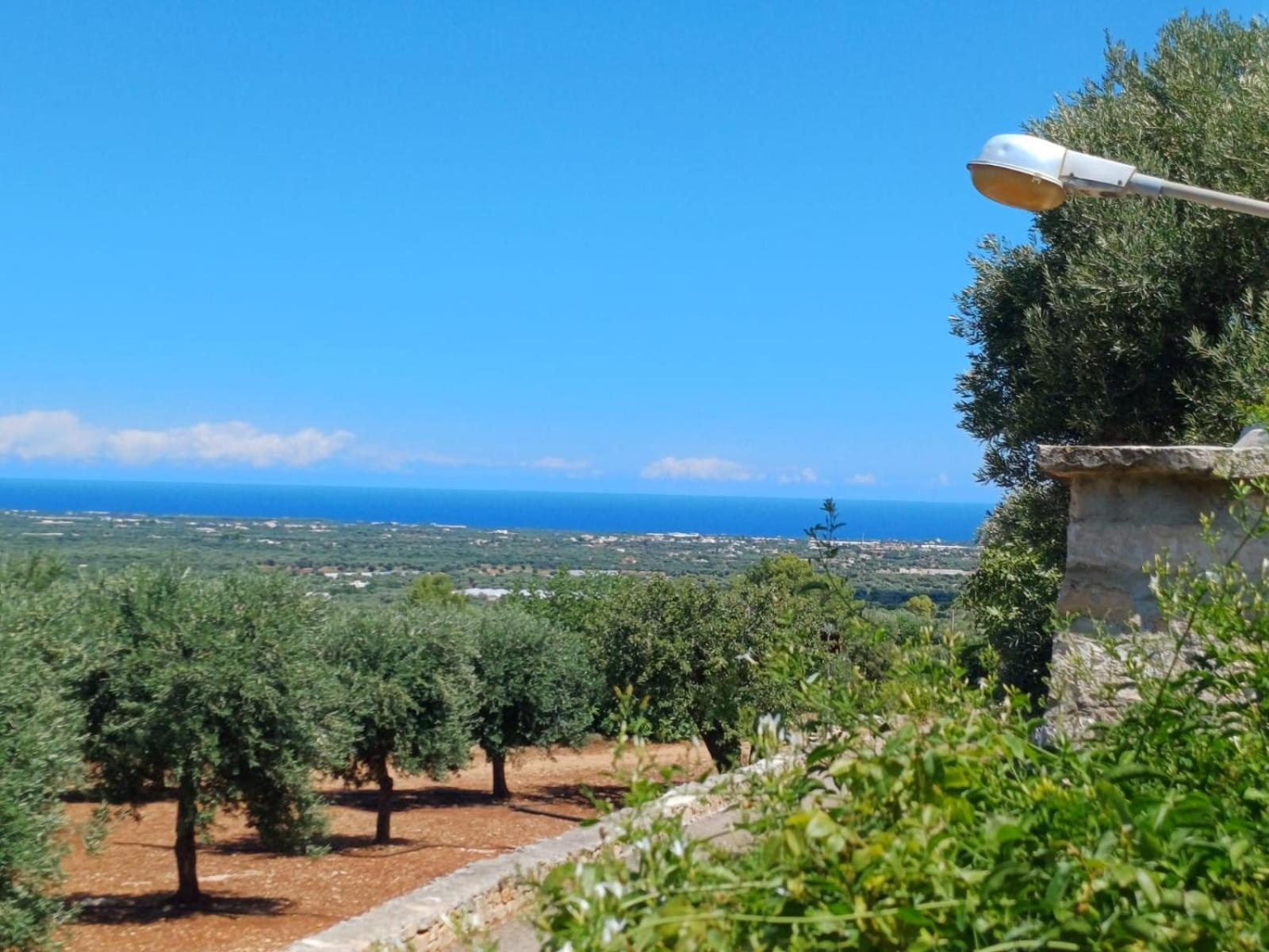 Hill Trull - Typical Apulian House Villa Monopoli Buitenkant foto